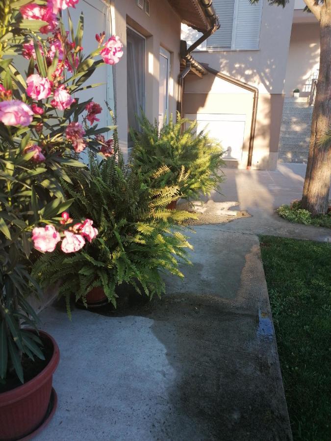 Villa Ros Guest House Svilengrad Exterior photo