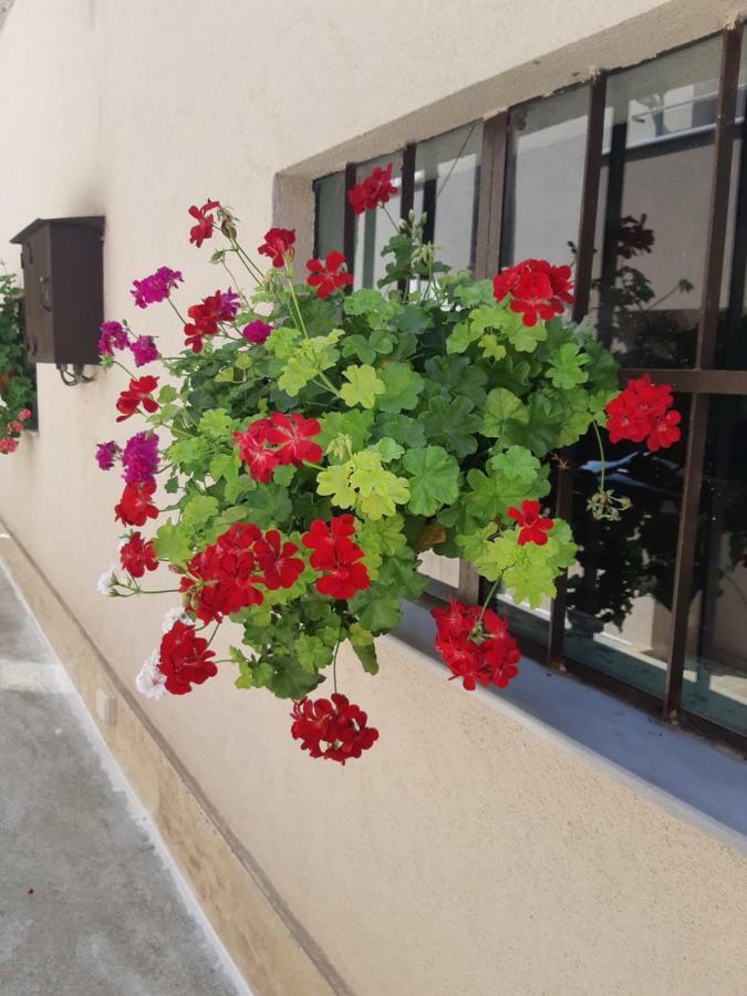 Villa Ros Guest House Svilengrad Exterior photo