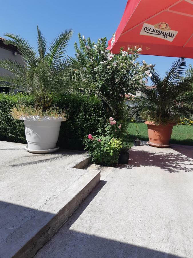 Villa Ros Guest House Svilengrad Exterior photo