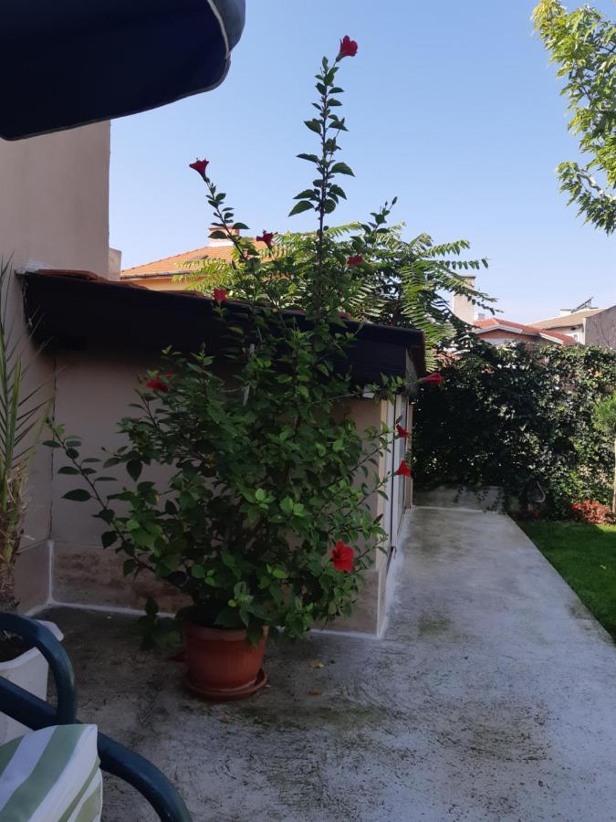 Villa Ros Guest House Svilengrad Exterior photo