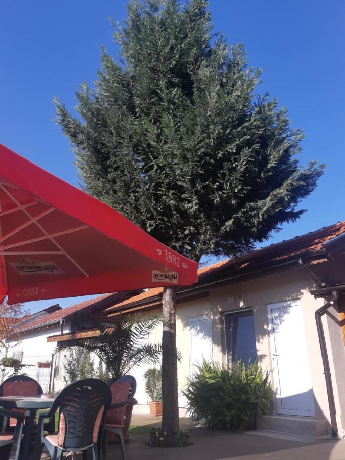Villa Ros Guest House Svilengrad Exterior photo